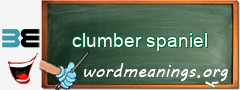 WordMeaning blackboard for clumber spaniel